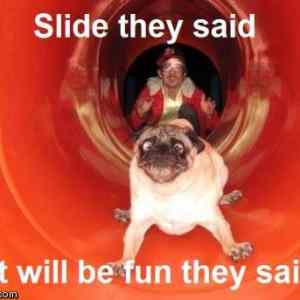 Obrázek 'funny slide'