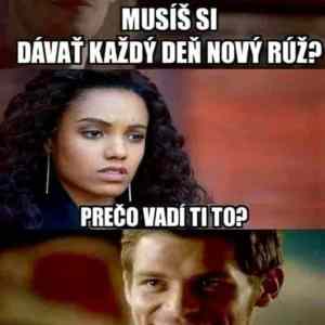 Obrázek 'furt novej ruz'