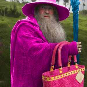 Obrázek 'gandalf'