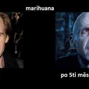 Obrázek 'ganja marihuana skodi'