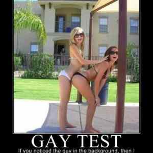 Obrázek 'gay-test'