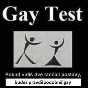 Obrázek 'gayy test'