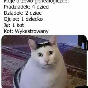 Obrázek 'genealogia'