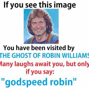 Obrázek 'ghostofrobin'