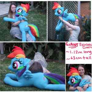 Obrázek 'giant rainbow dash plushie  by silkencat-d6kk35z'