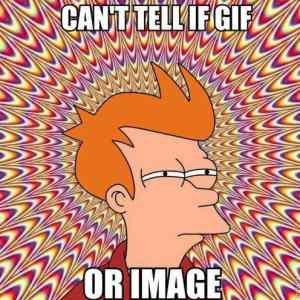 Obrázek 'gif or img'