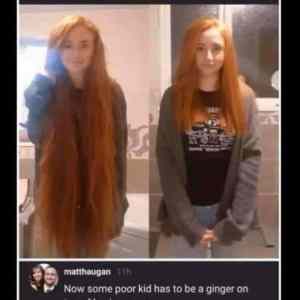 Obrázek 'gingercanc'