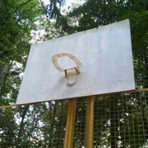 Obrázek 'gipsys basketball'