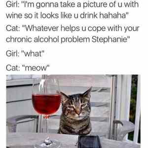 Obrázek 'girl-cat-joke'