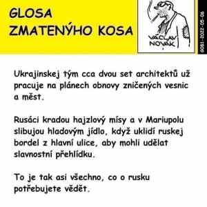 Obrázek 'glosa zmatenyho kosa'