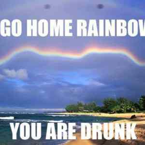 Obrázek 'go home rainbow'