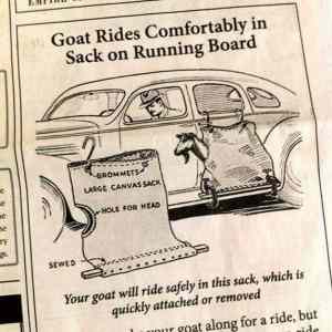 Obrázek 'goatSack'