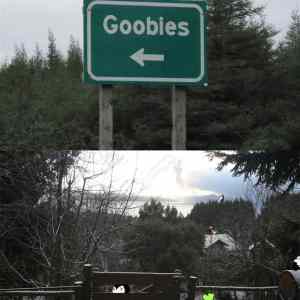 Obrázek 'goobies pls'