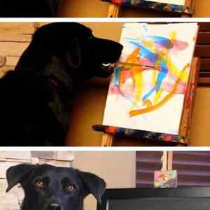 Obrázek 'good job dog'