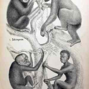 Obrázek 'good&nbsp;old&nbsp;books'