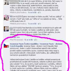 Obrázek 'grammar nazis ivetka bartosova'