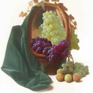 Obrázek 'grapes oy'