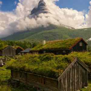 Obrázek 'grass houses'