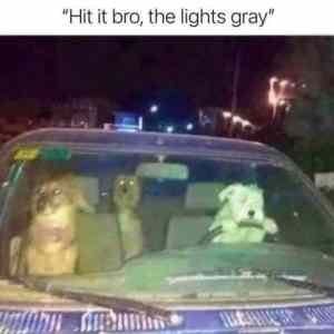 Obrázek 'gray lights'