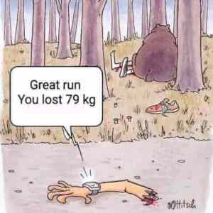 Obrázek 'great run you lost 79kg'