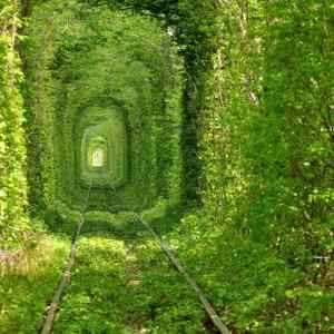 Obrázek 'green - ukraine-rivna'