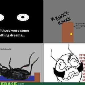 Obrázek 'gregor samsa fuuuu'