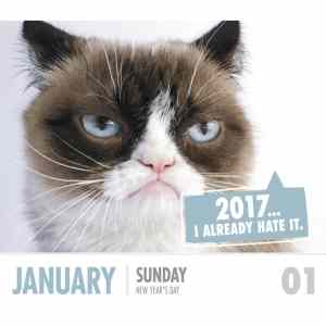 Obrázek 'grumpy&nbsp;cat&nbsp;2017'