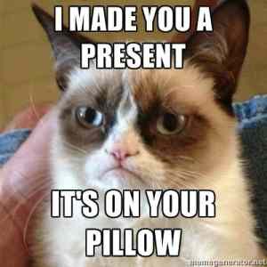 Obrázek 'grumpy cat with a present'