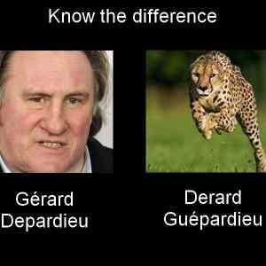 Obrázek 'guepardieu'