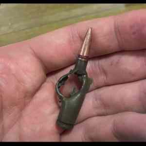 Obrázek 'gulka zachranila ukrosa'