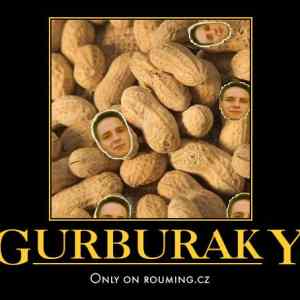 Obrázek 'gurburaky'