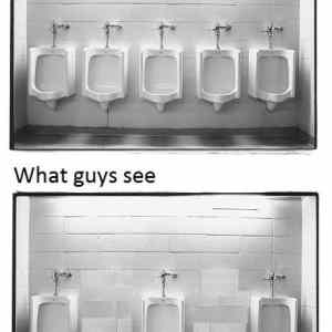 Obrázek 'guys will understand'