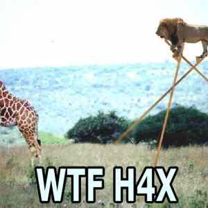 Obrázek 'h4x'