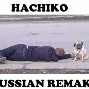 Obrázek 'hachiko'