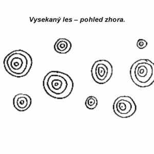 Obrázek 'hadanka3'