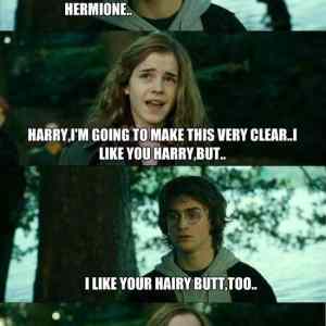 Obrázek 'hairy hermione'