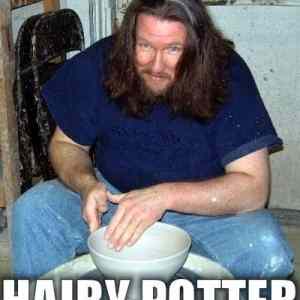 Obrázek 'hairy potter'