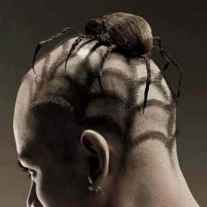 Obrázek 'hairy spider'