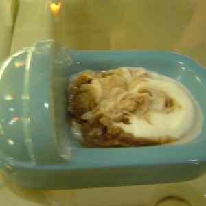 Obrázek 'hajzlikov6'