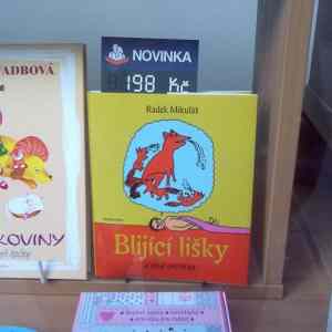 Obrázek 'halbot.haluze.sk&nbsp;20293'