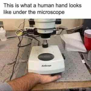 Obrázek 'handscope'