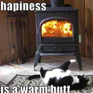 Obrázek 'happiness is a warm butt'