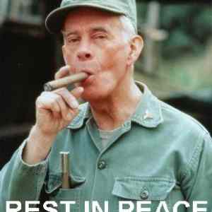 Obrázek 'harry morgan MASH plukovnik Potter RIP'