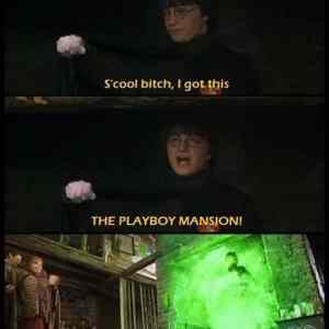 Obrázek 'harry&nbsp;potter&nbsp;directors&nbsp;cut&nbsp;540'