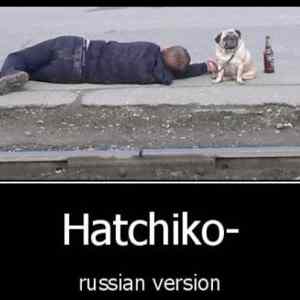 Obrázek 'hatchiko rv'