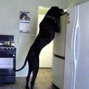 Obrázek 'he-found&nbsp;&nbsp;'