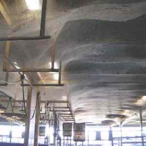 Obrázek 'hedvabi&nbsp;&nbsp;&nbsp;&nbsp;&nbsp;'