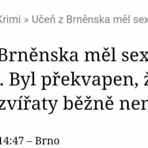 Obrázek 'hele zase brno'