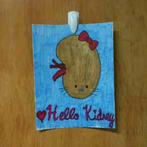 Obrázek 'hello kidney'