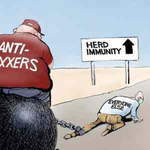 Obrázek 'herd immunity'
